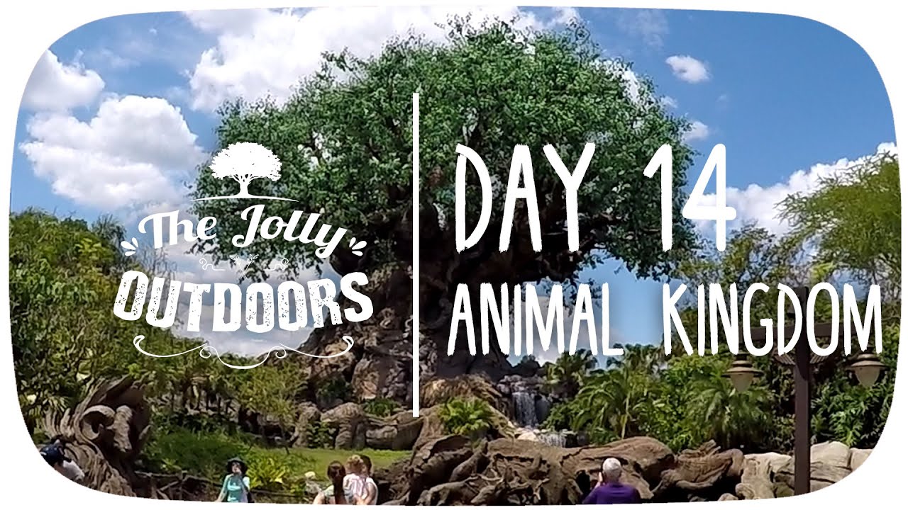 Day 14 – Animal Kingdom - Orlando Florida holiday vlog Video
