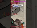 😆😄🤣 #funny #funnyvideos  #prank #foryou #fyp