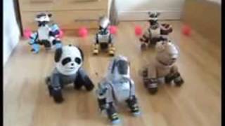 Sony Aibo... Dance off!! by Aibo Addicts 11,427 views 15 years ago 3 minutes, 22 seconds