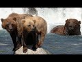 Fierce Mother Bears of Brooks Falls | Alaska 🌎 🇺🇸 | Wild Travel | Robert E Fuller