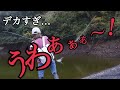 1投目で…【過去一!?】