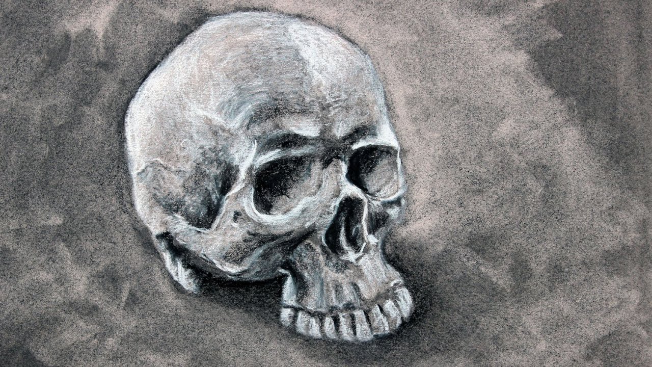 Quick skull drawing using white charcoal on black paper! : r/drawing