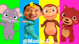 Mochi Family Best  Funny video 😂😂😂