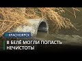 В воду озера Белё, скорее всего, попали нечистоты