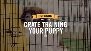 puppy crate petbarn