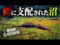 稀有な資源はだいたい危険地帯にある極限サバイバル【Survival: fountain of youth】【ゆっくり実況】