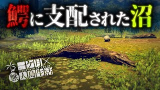Extreme survival where rare resources are mostly in dangerous areas [Survival: fountain of youth]...