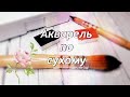 Что такое акварель "по сухому". Рисуем акварельный скетч. Акварель для начинающих🌸