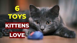 6 Toys Your Cat Will Love | Cats Entertainment