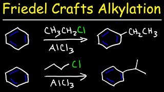 Friedel Crafts Alkylation of Benzene Reaction Mechanism - Tons of Examples!