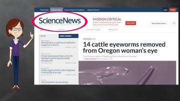 How to Cite a Website in Noodletools