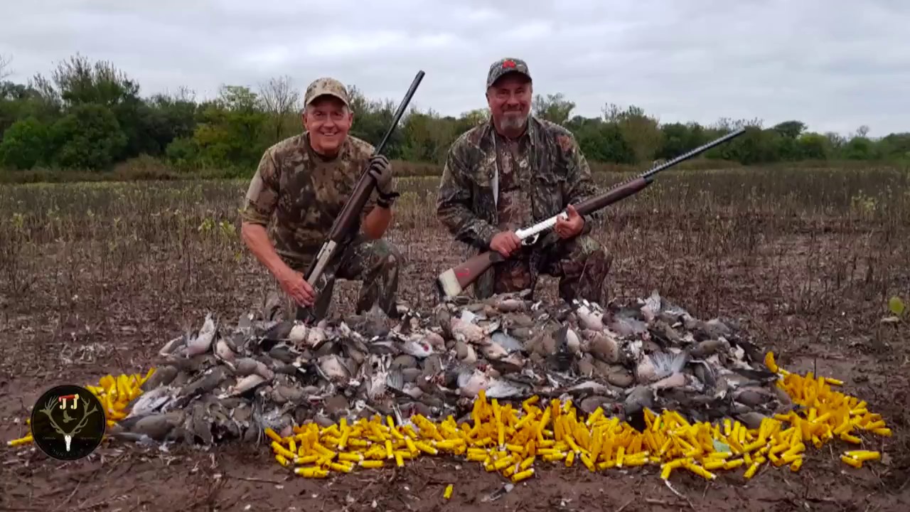 dove hunting trips in argentina