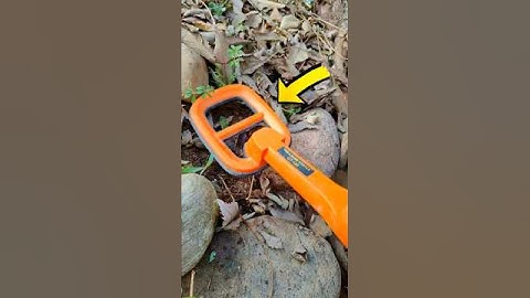 Metal Detecting in the Woods🎯Amazing Gold Find by Treasure Hunter #metaldetecting #shorts #treasure