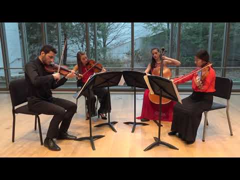 Beethoven String Quartet Op. 95 "Serioso" II & III | Almas Quartet