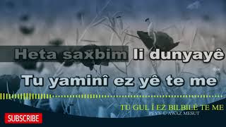 Tu Gul Î Ez Bilbilê Te Me Karaoke