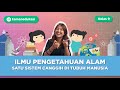 🧬 Sistem Canggih Tubuh Manusia yang Lahirin Kehidupan