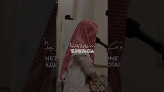 чтец Абдуллах аль Карни | сура Маида (аяты  73-74)