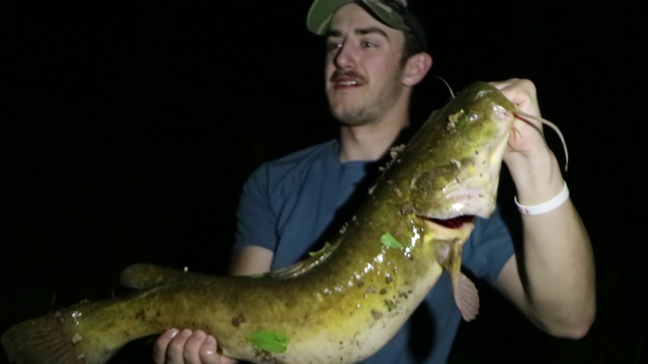 Central Pennsylvania Creek Catfishing (At Night) YouTube