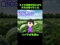 【閲覧注意】スイカ泥棒が出たからある仕掛けをした→ババアが失明ｗ【ゆっくり解説】【殿堂入りスレ】#Shorts
