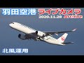 羽田空港 ライブカメラ 2020/11/28 Live from TOKYO HANEDA Airport  離着陸 ライブ配信