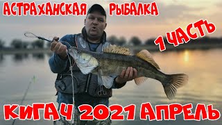 Астраханская рыбалка. Кигач 2021 апрель. Вобла, судак, жерех.