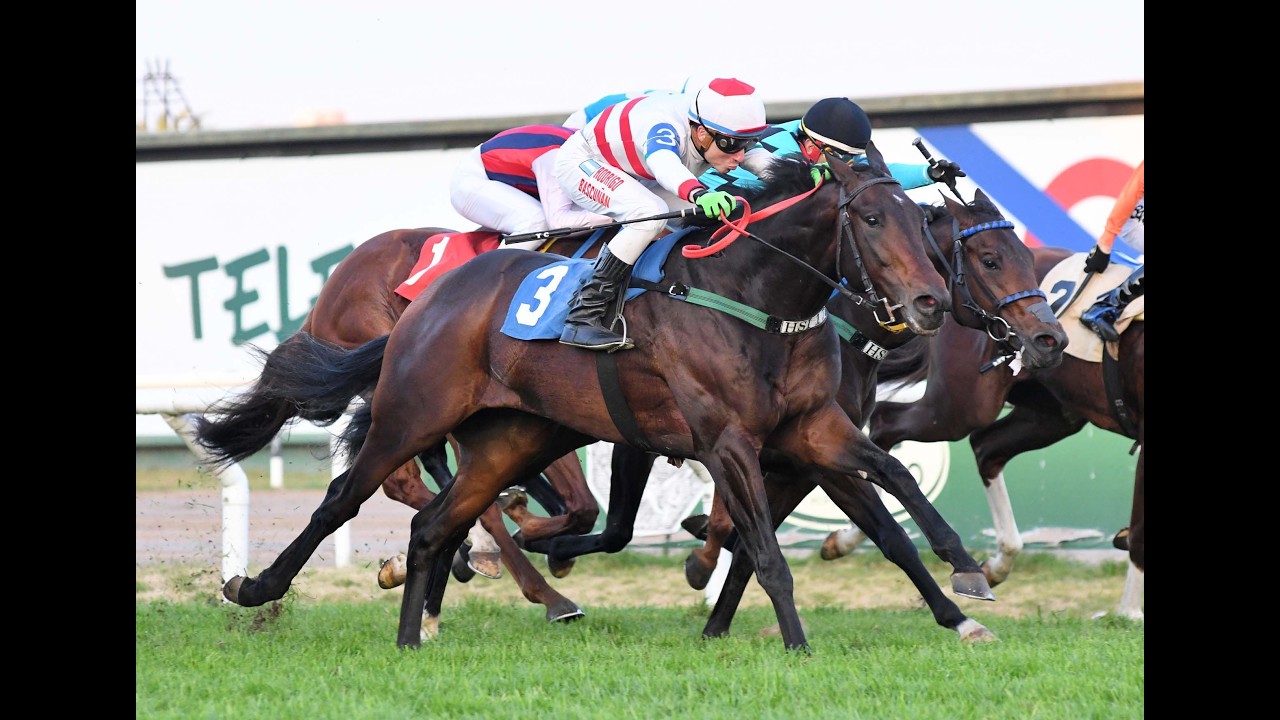Clásico Manuel Anasagasti (L) 2026 - Contado (Winning Prize)