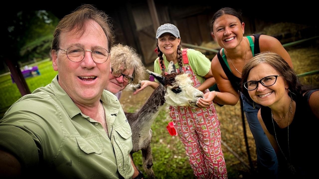 Feline heroes, heartworm prevention, alpaca yoga & Cookie the pup needs a home!