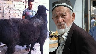 KAMPIRNING GAPIGA KIRGAN CHOL HIKOYASI