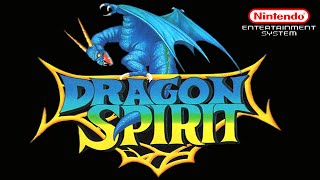NES Hidden Gems: DRAGON SPIRIT (Nintendo Entertainment System Review)