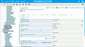 2.3 Building a Taxonomy With PoolParty