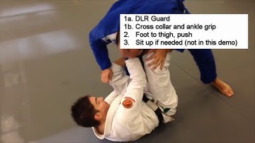 BJJ Berimbolo Study