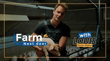 Discover how Louis revolutionises sustainable pig farming in Belgium