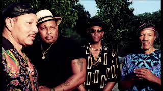 The Neville Brothers Live at Central Park, New York City - 1992 (audio only)