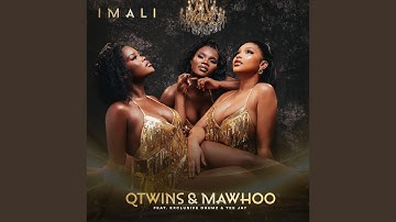 Q Twins & Mawhoo - Imali (Official Audio) feat. Exclusive Drumz & Tee Jay