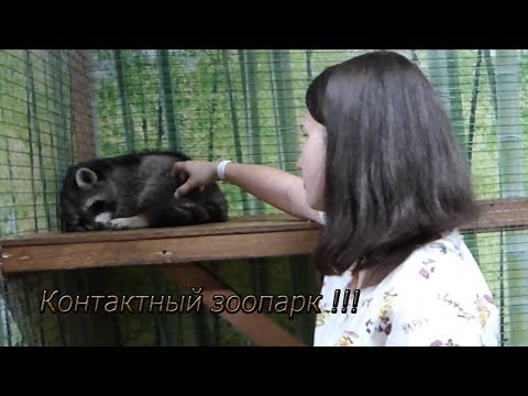 Видео: Прогулка в контактном зоопарке !!!! Какой на ощупь энот ???