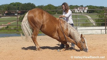 Genuine Cowboy Bars - liberty! - ValleyViewRanch.net