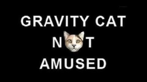 Gravity Cat Not Amused FULL Theme Song