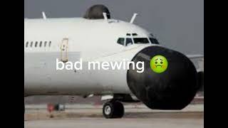 plane is mewing