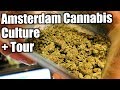 Best Coffeeshops Tour | The Amsterdam Vlog Season 2 Day 2/5