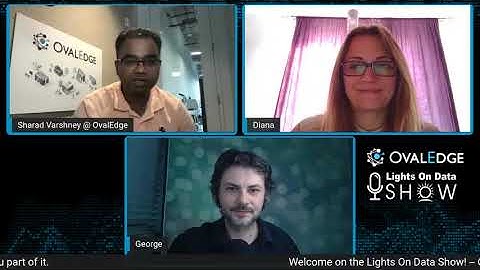 What does a Business Glossary include?