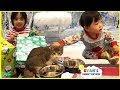 Meet our new cats and Ryan open presents on Christmas Morning 2017