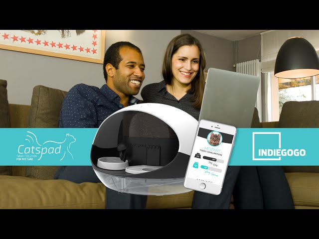 Catspad – Your new amazing cat feeder