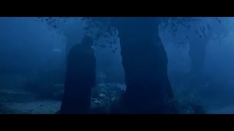 The Passion of the Christ The Christ Prayer in the Garden of Gethsemane