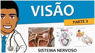 Sistema parte do central seu nervoso