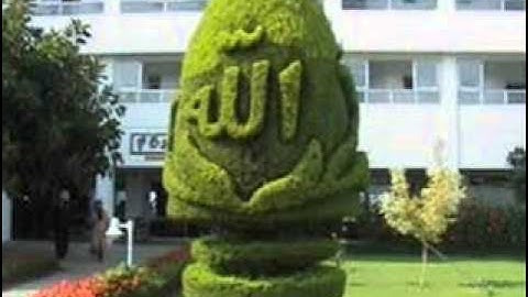 سورة يس من صلاة التراويح للشيخ حسن صالح