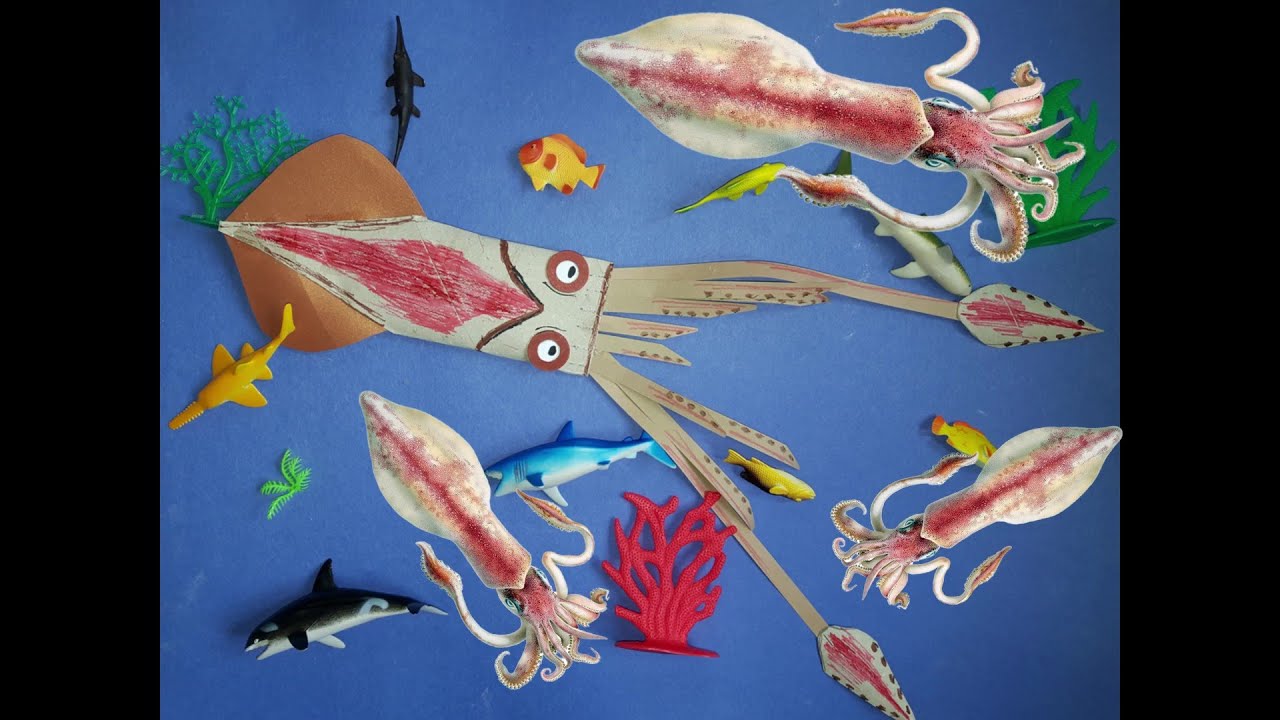 karton kalamar loligo vulgaris lamarck yapilisi how to make a cardbo tintin kina