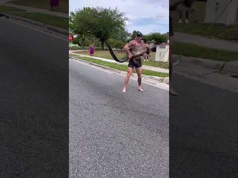 Florida man expertly captures a gator.🐊