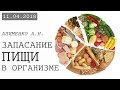 Запасание пищи в организме. Алименко А.Н. (11.04.2018)