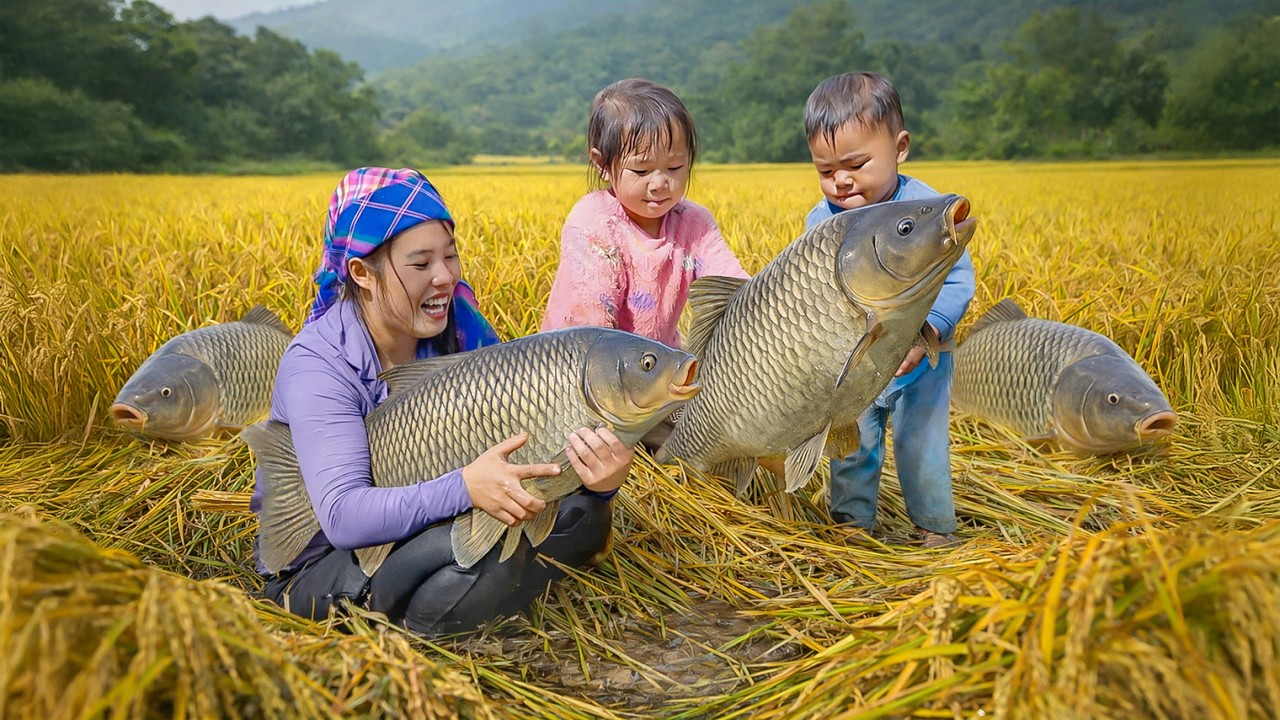 Catching Mysterious Fish School Destroying Village Rice Field | Fishing and Cooking | Village Life