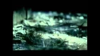 t.o.p  ACT LIKE NOTHING IS WRONG MV